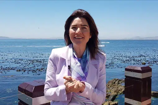 Elif Çomoğlu Ülgen