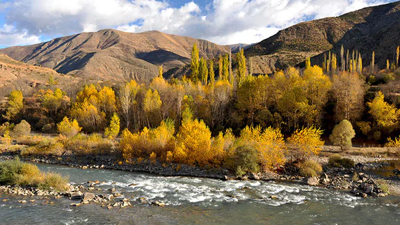 Çoruh Ne Yana Düşer Usta?