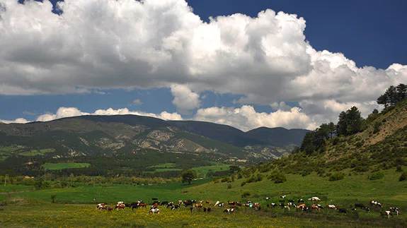 Bolu Doğası ve İklim