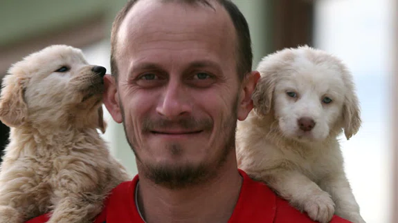 Düzce'de sokak hayvanları doğal yaşam alanına kavuşuyor