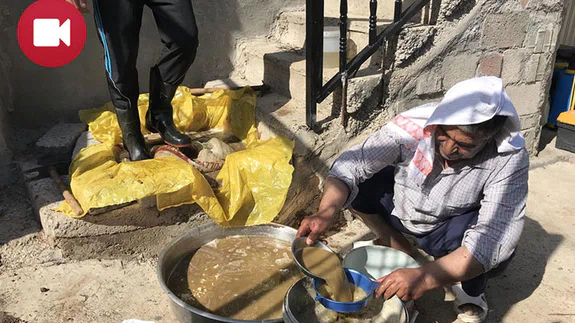 Dutlar Pekmez Yapılmaya Başlandı