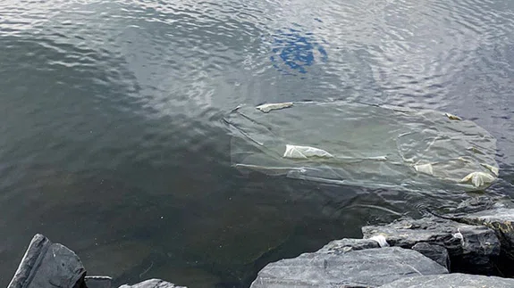 Küçükçekmece Gölü'ndeki kirliliğe karşı proje başlatıldı