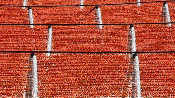 Rengarenk 'Antep kurutmalıklar' tezgahlara asıldı