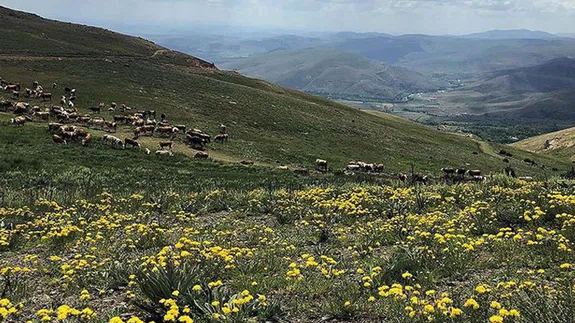 Bayburt'un yaylaları doğaseverleri bekliyor
