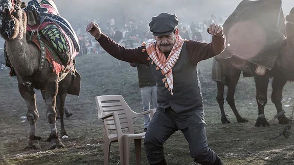 Batı Anadolu'nun ortak tutkusu: Pehlivan develer