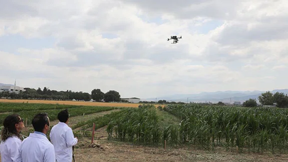Tarımda yanlış sulamaya karşı dron destekli proje