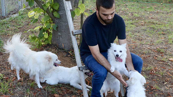 Trabzon'a özgü 'zerdava' ve 'Tonya finosu' ırklarının gen haritası çıkarılı