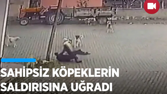 Nevşehir'de sahipsiz köpeklerin 69 yaşındaki kişiye saldırması güvenlik kamerasında