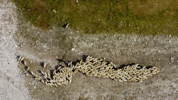 Ankara'da doğal yaşam