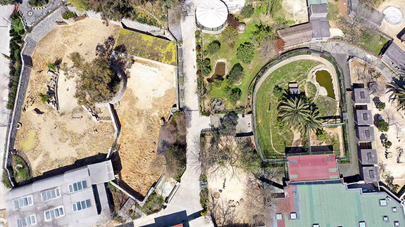 Hayvanat bahçesi sakinleri "en sessiz baharı"nı yaşıyor