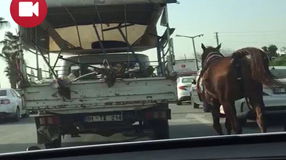 Bir Adana Klasiği!