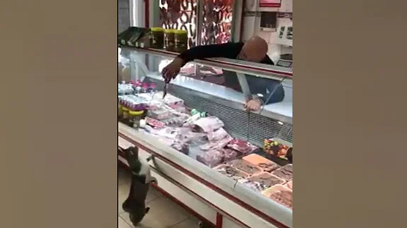 Kasap İle Kedinin Diyaloğu Sosyal Medyada Paylaşım Rekoru Kırıyor