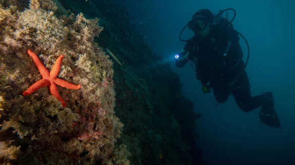 Kuşadası dalış turizminde yeniden hareketlendi