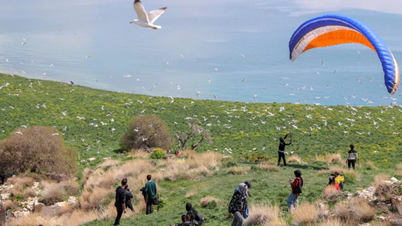Van Gölü'ndeki Çarpanak Adası fotoğraf tutkunlarını ağırladı
