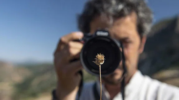 Doğasever akademisyen Tunceli dağlarında endemik bitkilerin izini sürüyor