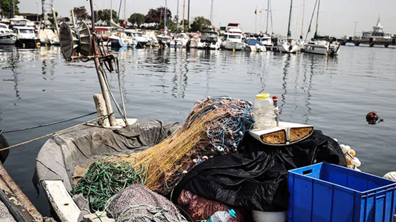Küçük balıkların avlanması Marmara'daki ekosistemi tehdit ediyor