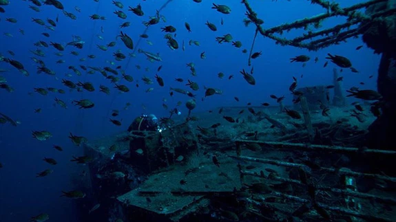 Su altı fotoğrafçılarının aradığı kareler İzmir kıyılarında
