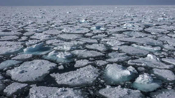 Azalan deniz buzu sadece kutup ekosistemini değil tüm dünyanın iklimini etkiliyor