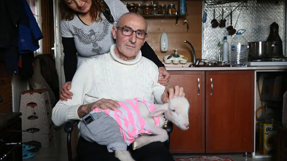 Hayvansever aile annesiz kalan kuzuya "sıcak yuva" oldu