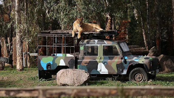 İzmir Doğal Yaşam Parkı yeni yüzüyle salgın sonrasına hazır