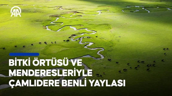 Bitki örtüsü ve menderesleriyle Çamlıdere Benli Yaylası