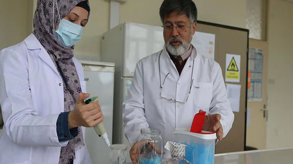 Propolisten koruyuculuk düzeyi yüksek cerrahi maske geliştirildi