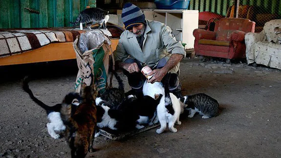 Sokak hayvanlarının fedakar dostu