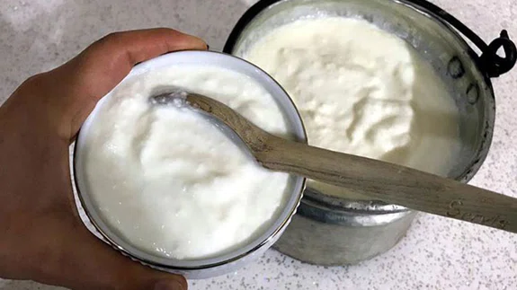 Yoğurt gripten koruyor