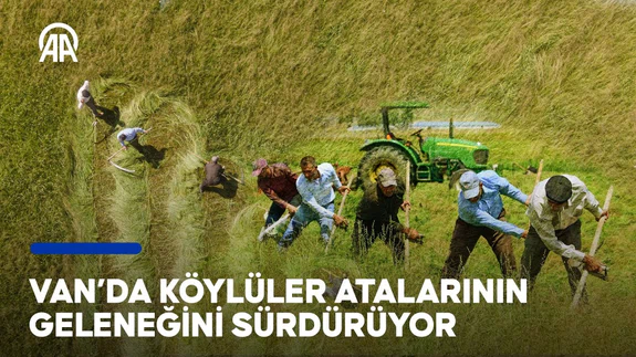 Van'da köylüler ata mirasını sürdürmek için otları tırpanla biçiyor | ❝Bunları hiç unutmadık❞