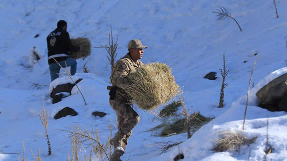 Yaban hayvanlarına destek için Bingöl'ün karlı dağlarını aşıyorlar
