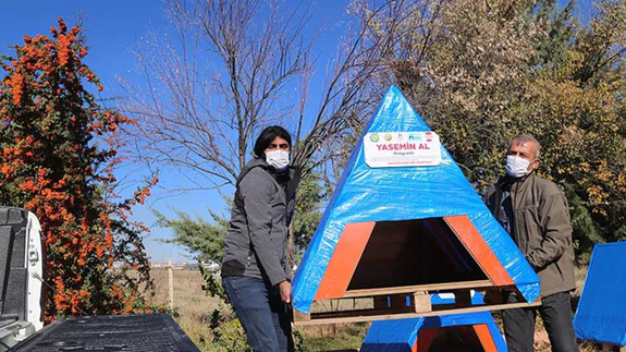 Ahşap paletler ve meyve kasaları sokak hayvanları için sıcak yuvaya dönüşüyor