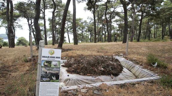İstanbul ormanlarında "dumansız yangın"la mücadele