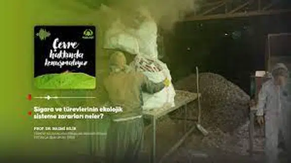 Sigara ve türevlerinin ekolojik sisteme zararları neler?