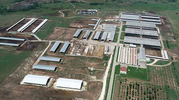 TİGEM Trakya'nın tarım ve hayvancılığına büyük katkı sağlıyor