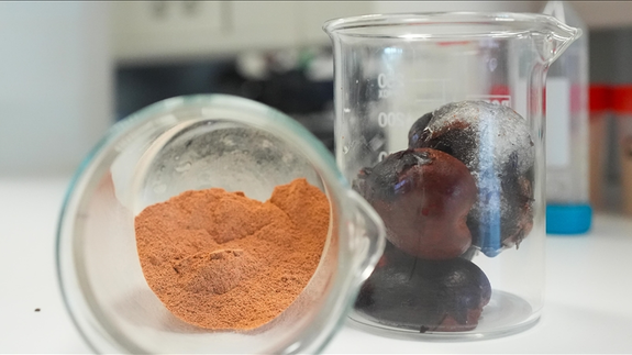 Meyve-sebze atıkları katma değerli ürünlere dönüştürülecek