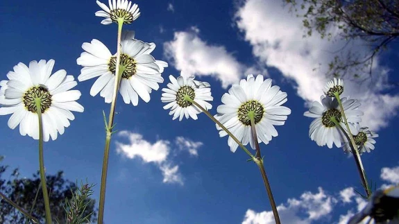 Cemre Ne Zaman Düşecek, Cemre Düşmesi Ne Demek, Neden Kullanılıyor? (2025 Cemre Düşme Tarihleri)