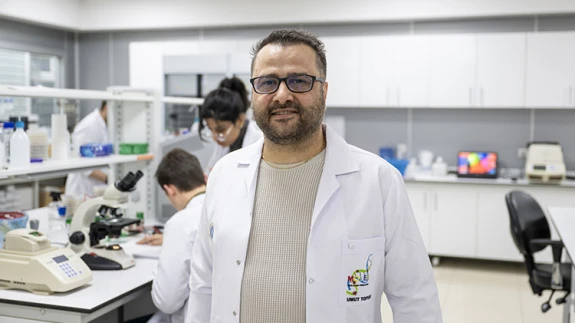 Obezite ve Karaciğer Yağlanmasına Çare Patates Böcekleri Olabilir!