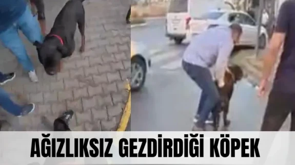 Ağızlıksız gezdirdiği köpek sokağı kana buladı: O anlar kamerada!
