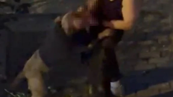 Bahçelievler’de pitbull cinsi köpek sahibine saldırdı: Dehşet anları kamerada