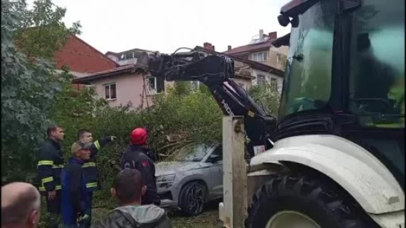 Çaycuma’da park halindeki otomobilin üzerine ağaç devrildi