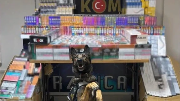 Dedektör köpek 'Hera' kokladı, valizlerden sigara yağdı!