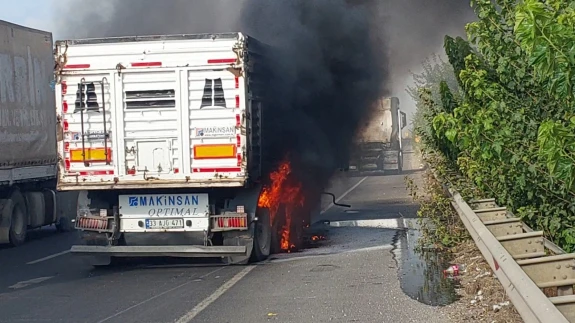 Şanlıurfa’da seyir halindeyken alev alan tır küle döndü: Sürücü canını zor kurtardı!