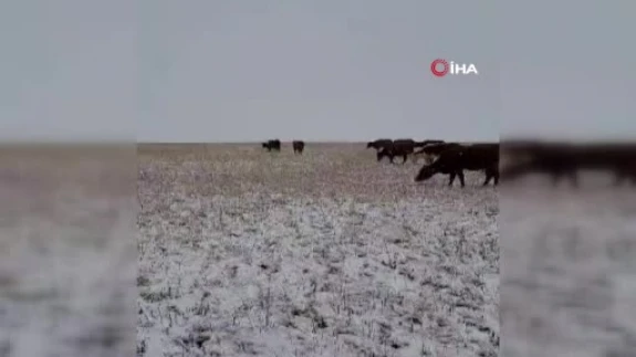 Sivas’ta kış erken geldi: Yüksek kesimler ve köyler sezonun ilk karıyla beyazladı