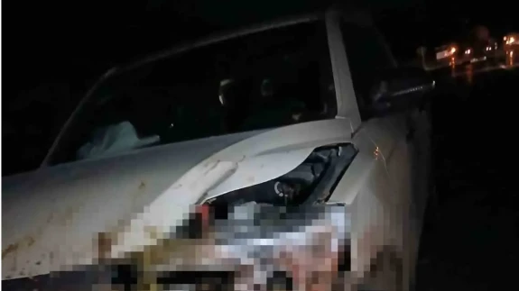 Kamyonet sürüye çarptı: Elazığ’da feci anlar kamerada!