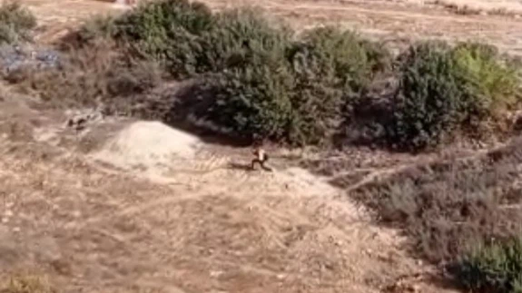 Cezası yetmedi, üstüne aksiyon filmi de çekti! Nefes kesen kovalamaca anbean kamerada...