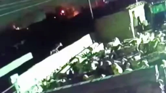 Ağıla giren kurt, koyunu böyle telef etti