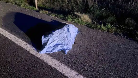 Gece yarısı yol kenarında hareketsiz bulundu: Gerçek çok geç anlaşıldı!