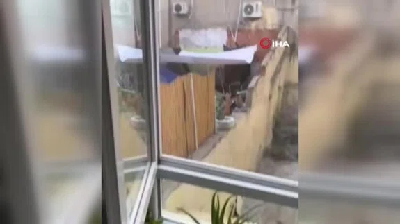 Eskişehir’de köpeğe eziyet eden şahıs yakalandı