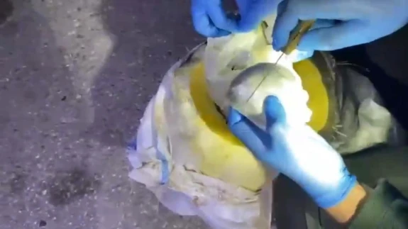 Bal kabağında gizli zehir! Otobüsteki kontrol şok etti