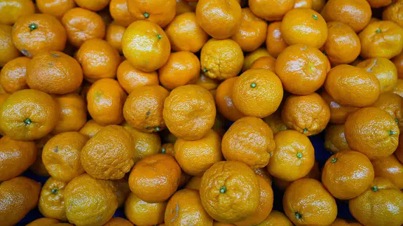 Türk mandalinası dünyayı fethetti... İhracatta tüm zamanların rekoru kırıldı!